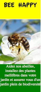 Bee_happy_biodiversité