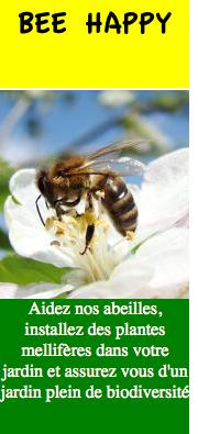 Bee_happy_biodiversité