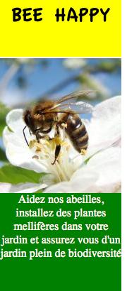 Bee_happy_biodiversité