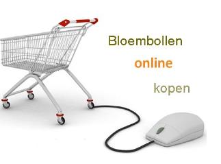 bloembollenonlinekopen