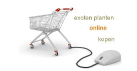 exotenwinkelwagentjeonlineshoppig