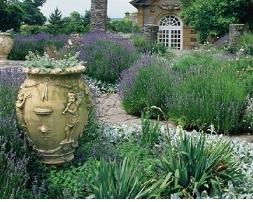 hestercombegarden