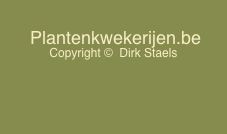  Plantenkwekerijen.be 