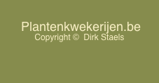  Plantenkwekerijen.be 