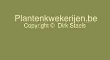  Plantenkwekerijen.be 