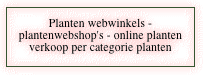 Planten webwinkels - plantenwebshop's -