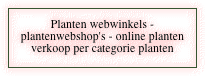 Planten webwinkels - plantenwebshop's -