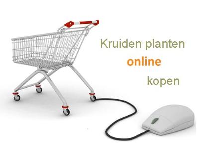 kruidenplantenonlinekopen