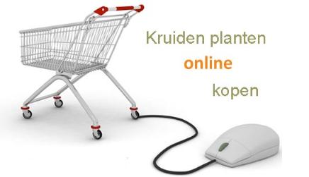 kruidenplantenonlinekopen