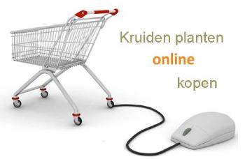 kruidenplantenonlinekopen