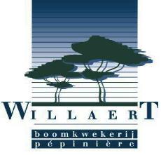 Logowillaert