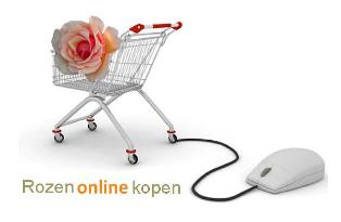 Rozenonlinekopen