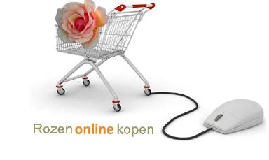 Rozenonlinekopen