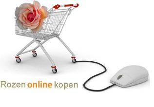 Rozenonlinekopen