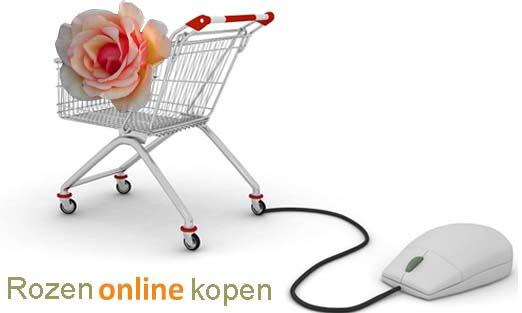 Rozenonlinekopen