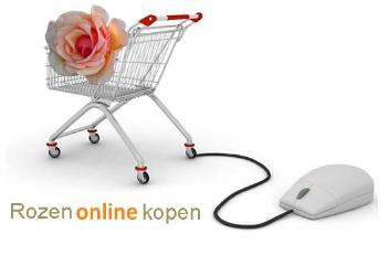 Rozenonlinekopen