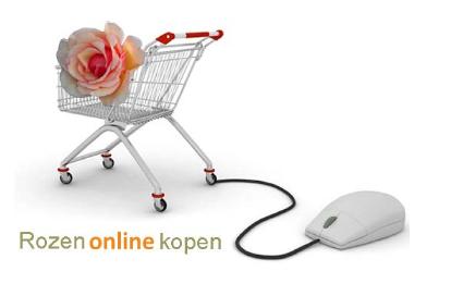 Rozenonlinekopen