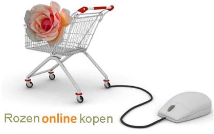 Rozenonlinekopen