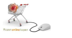 Rozenonlinekopen