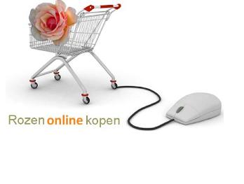 Rozenonlinekopen