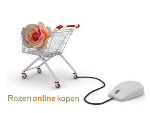 Rozenonlinekopen