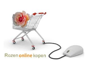 Rozenonlinekopen