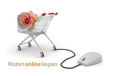 Rozenonlinekopen