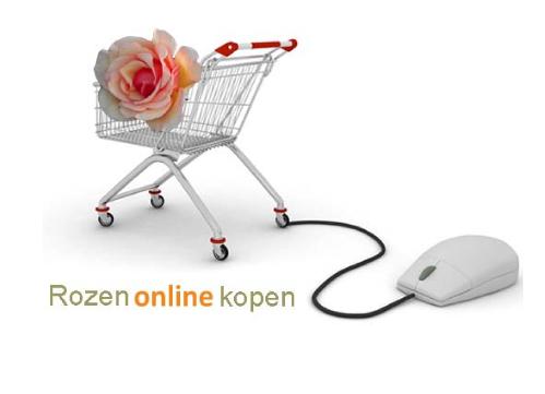 Rozenonlinekopen