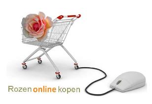 Rozenonlinekopen