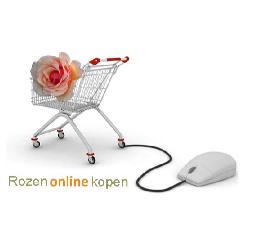 Rozenonlinekopen