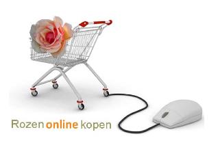 Rozenonlinekopen