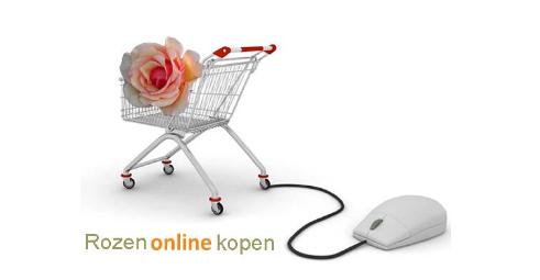 Rozenonlinekopen