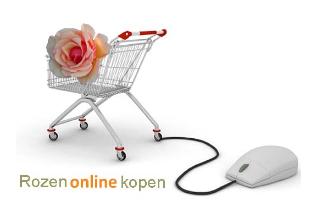 Rozenonlinekopen1