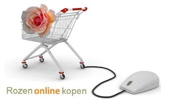 Rozenonlinekopen