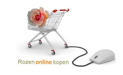 Rozenonlinekopen