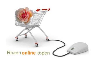 Rozenonlinekopen1