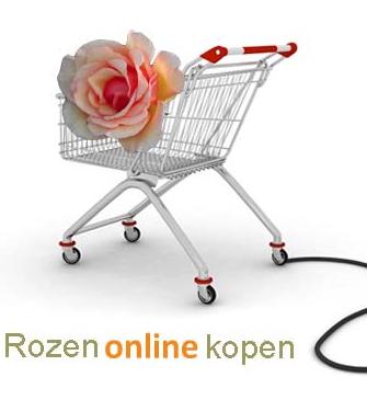 Rozenonlinekopen