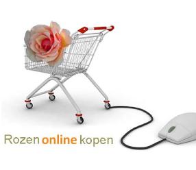 Rozenonlinekopen