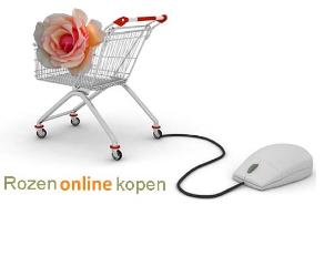 Rozenonlinekopen