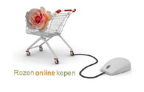 Rozenonlinekopen