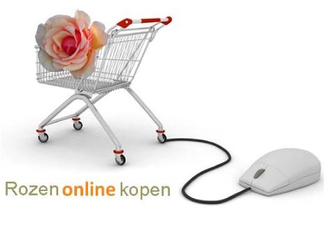 Rozenonlinekopen