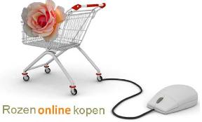 Rozenonlinekopen