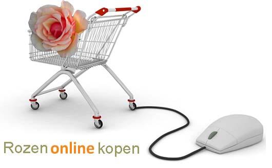 Rozenonlinekopen