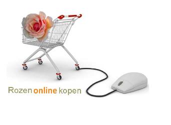 Rozenonlinekopen