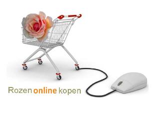 Rozenonlinekopen