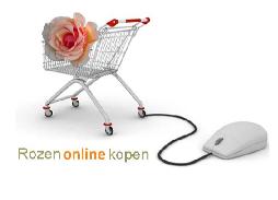 Rozenonlinekopen