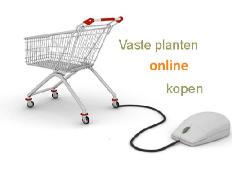 winkelwagentjevasteplantenonlineshoppig