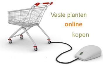 winkelwagentjevasteplantenonlineshoppig