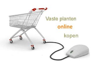 winkelwagentjevasteplantenonlineshoppig