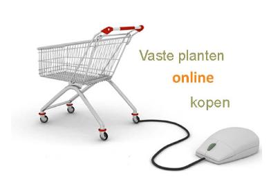 winkelwagentjevasteplantenonlineshoppig